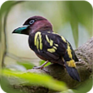 WWW,ccc14·COM网站APP最新版