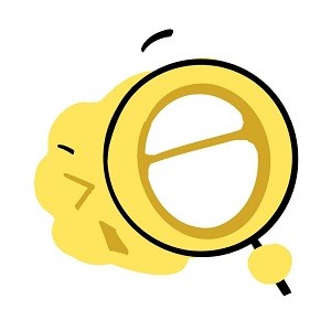 红杏直播最新版