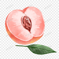 暴躁少女CSGO视频播放APP应用