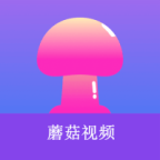 b站大片直播最新版